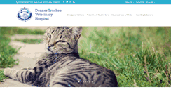 Desktop Screenshot of dtvet.com